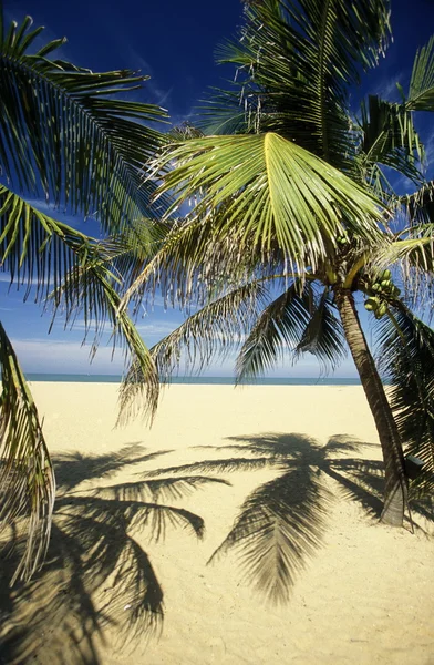 Una playa en la costa de Hikaduwa — Foto de Stock