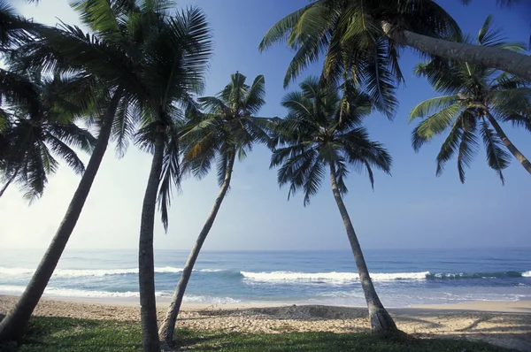 Una playa en la costa de Hikaduwa — Foto de Stock