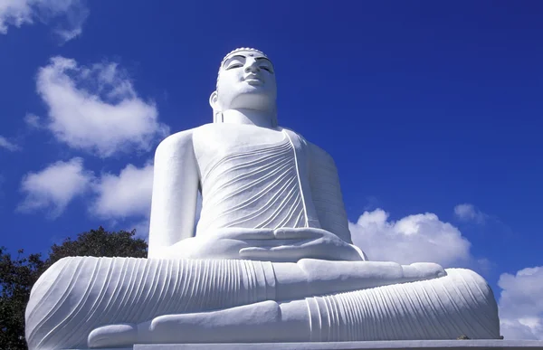 Velký Buddha v chrámu Kandy — Stock fotografie