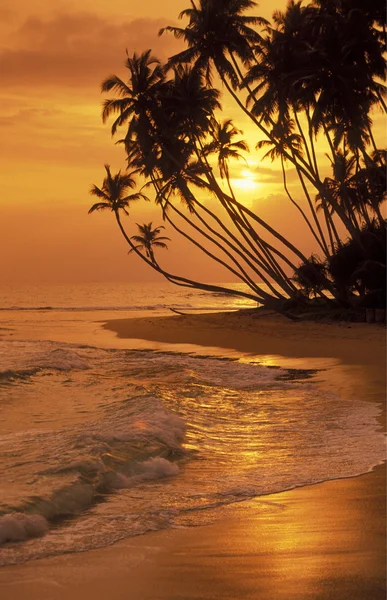 Uma praia na costa de Hikaduwa — Fotografia de Stock