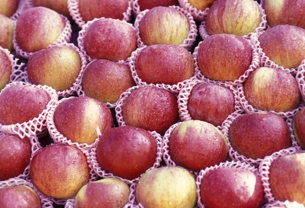 Äpfel auf dem Markt von hikkaduwa — Stockfoto