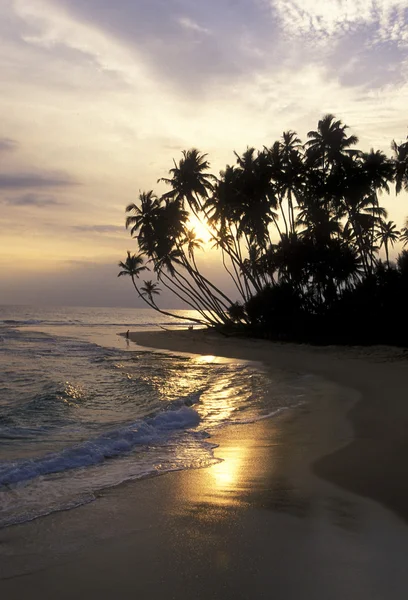 Uma praia na costa de Hikaduwa — Fotografia de Stock