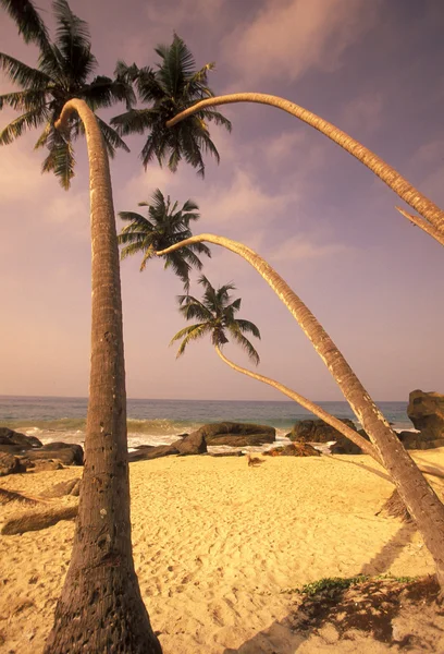 Uma praia na costa de Hikaduwa — Fotografia de Stock