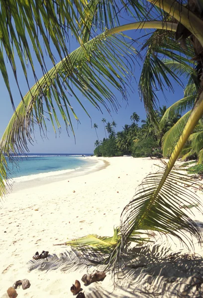 A beach at the coast of Hikaduwa — Stock Photo, Image