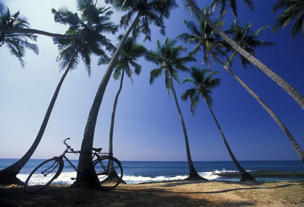 Una playa en la costa de Hikaduwa —  Fotos de Stock