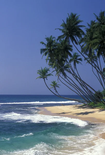 Une plage sur la côte de Hikaduwa — Photo