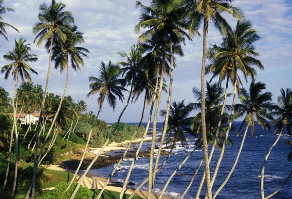 Een strand voor de kust van Hikaduwa — Stockfoto