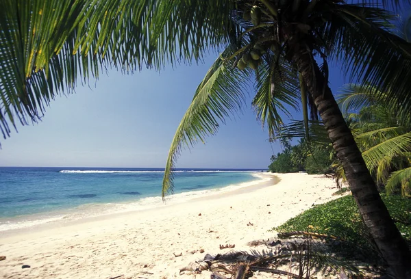 Una playa en la costa de Hikaduwa — Foto de Stock