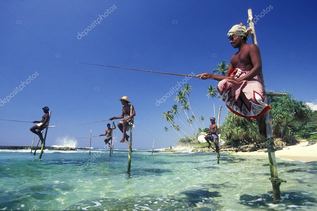 Шри ланка экскурсии 2022. Тангалле шри ланка. Coconut tree hill мирисса. Шри ланка туризм. Шри ланка в марте.