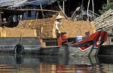Mekong Nehri üzerinde bir taşıma tekne 