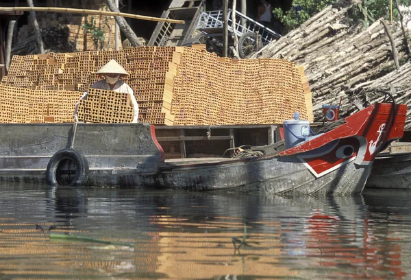 Mekong Nehri üzerinde bir taşıma tekne — Stok fotoğraf
