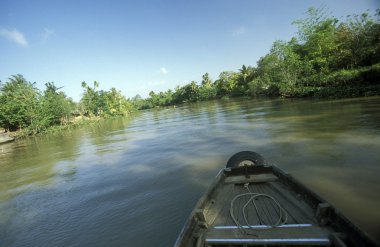 Mekong Nehri üzerinde küçük bir ahşap tekne
