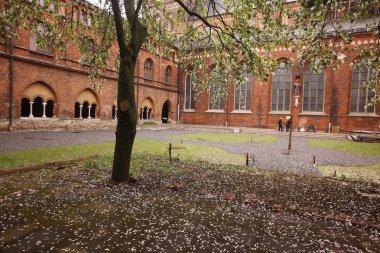 Riga Dome Cathedral 