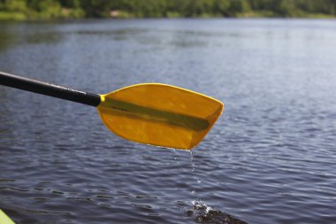 Kasabanın yakınındaki Gauja nehrinde kano gezisi 