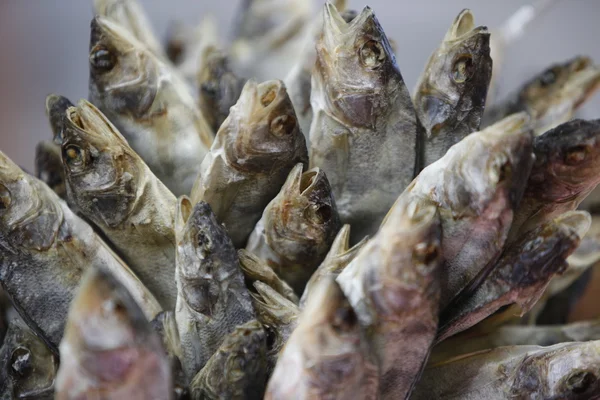 Mercado de pescado de Riga mercado central —  Fotos de Stock