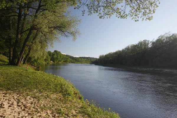 Gauja rivier in de buurt van de stad van Sigulda — Stockfoto