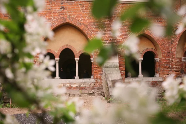 Rižská katedrála dóm — Stock fotografie