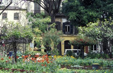 Funchal eski şehir Meydanı 
