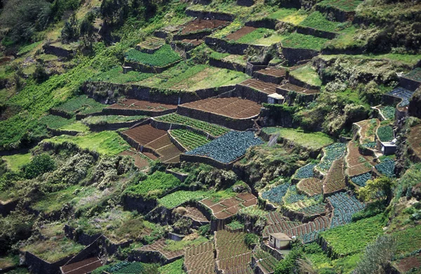 Краєвид сільських терас на зеленому пагорбі — стокове фото