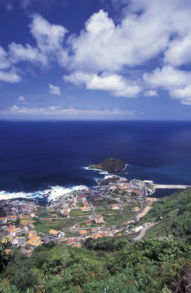 Landscape and coast at the town of Porto Moniz — Stock Photo, Image