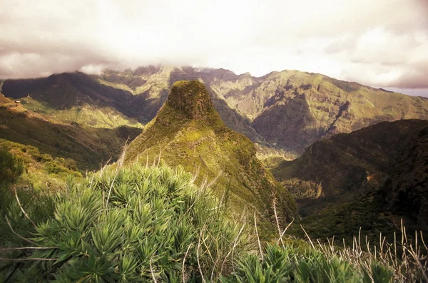 Landscape at the highland Ribeira da Janela in Portugal — Stock Photo, Image