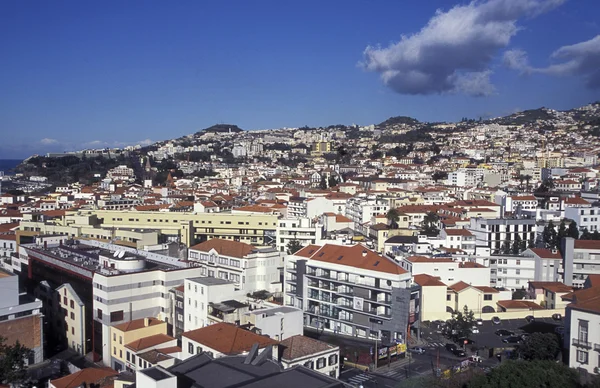 Centro della città nel centro storico di Funchal — Foto Stock