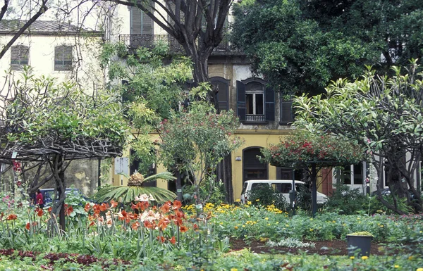 Ett torg i den gamla stan i Funchal — Stockfoto