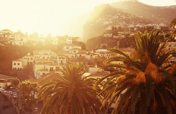 EUROPA PORTUGAL MADEIRA FUNCHAL CAMARA DE LOBOS — Stockfoto