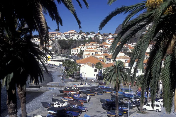 EUROPE PORTUGAL MADEIRA FUNCHAL CAMARA DE LOBOS — 图库照片