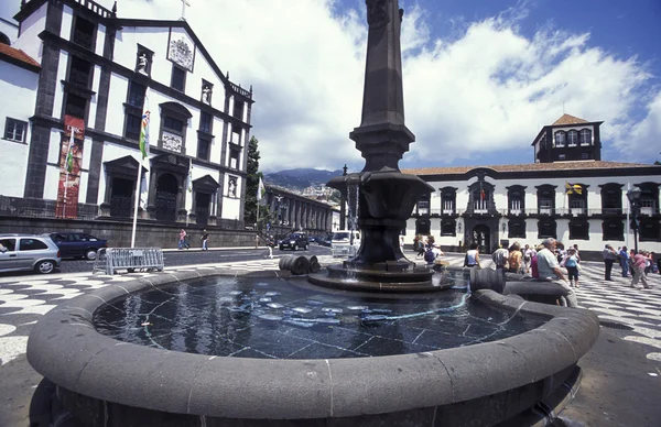 EUROPA PORTUGAL MADEIRA FUNCHAL — Stockfoto