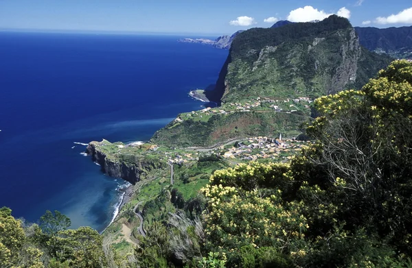 Landscape at the North coast on the Island of Madeira — Stock Photo, Image
