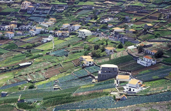 Τοπίο του χωριού βεράντες σε καταπράσινο λόφο — Φωτογραφία Αρχείου