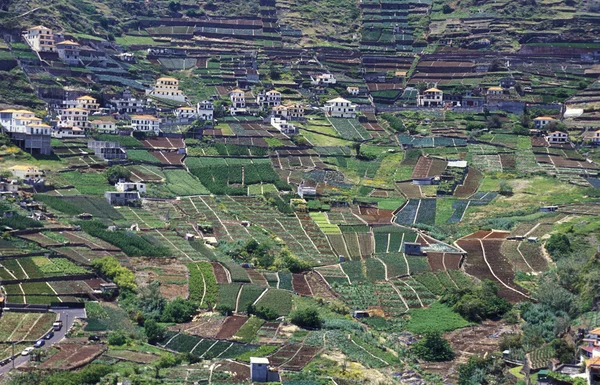 Ландшафт сельских террас на зеленом холме — стоковое фото