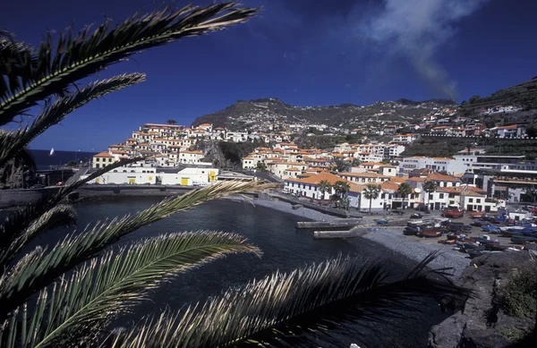 EUROPA PORTOGALLO MADEIRA FUNCHAL CAMARA DE LOBOS — Foto Stock