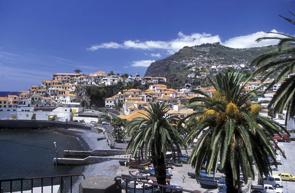 EUROPE PORTUGAL MADEIRA FUNCHAL CAMARA DE LOBOS — 图库照片