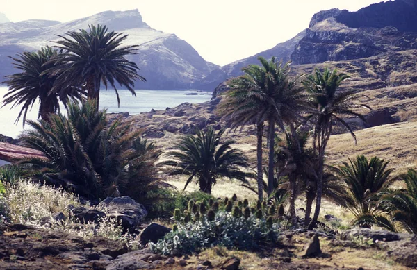 Liggend op de noordkust van het eiland Madeira — Stockfoto