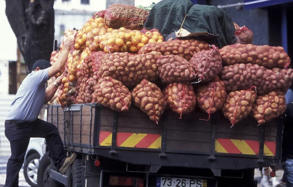 Transportasi kentang di balai pasar di kota Funchal — Stok Foto