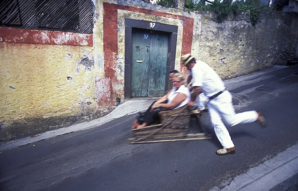Tradicional Basket Sledge Riding em Portugal — Fotografia de Stock