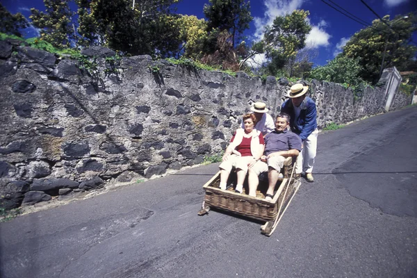 Traditional Basket Sledge Riding in Portugal — Stock Photo, Image