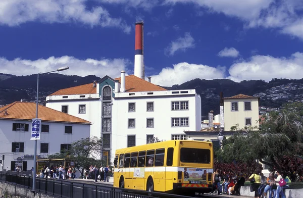 Funchal eski şehir içinde şehir otobüs — Stok fotoğraf