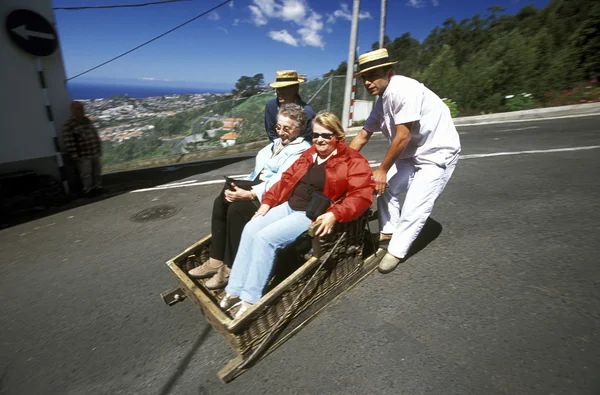 Traditionella korg släde ridning i Portugal — Stockfoto