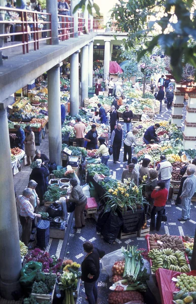 EUROPA PORTUGAL MADEIRA FUNCHAL MARKET — Stockfoto