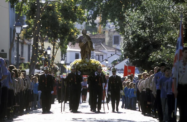 AVRUPA PORTUGAL MADEIRA FUNCHAL — Stok fotoğraf