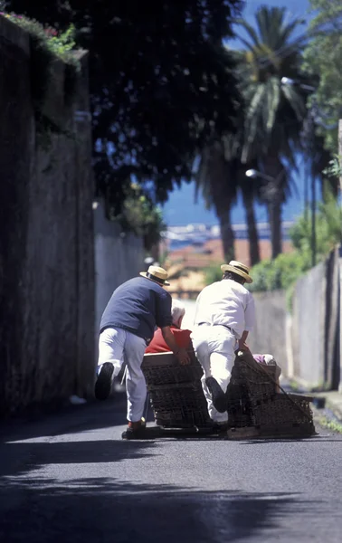 Traditional Basket Sledge Riding — Stock Photo, Image