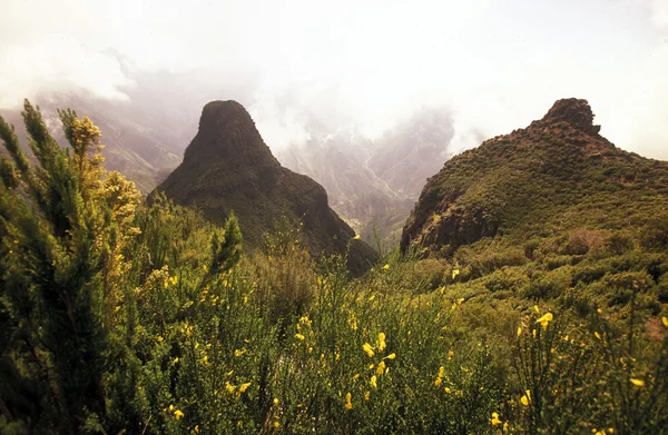 Landscape at highland Ribeira da Janela — Stock fotografie