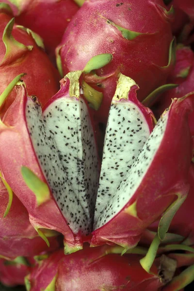 Dragon Fruits Market Town Krabi Andaman Sea South Thailand Thailand — Stock Photo, Image