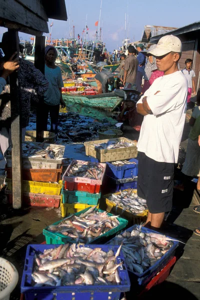 Čerstvé Mořské Plody Rybářském Přístavu Pobřeží Města Sihanoukville Jihu Kambodže — Stock fotografie