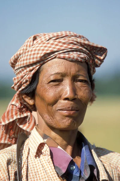カンボジアのプノンペンの近くにある田んぼと米の収穫のクメール人女性 カンボジア プノンペン 2001年2月 — ストック写真