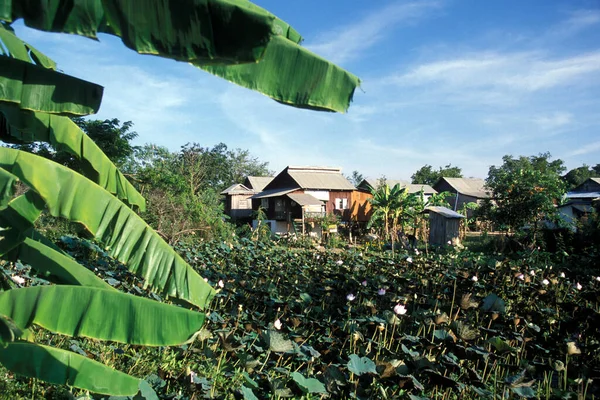 Una Casa Tradicional Lago Cerca Ciudad Phnom Penh Camboya Camboya — Foto de Stock