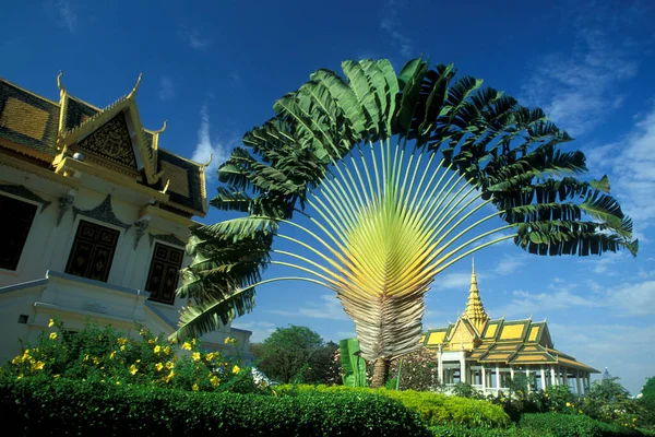 Arquitectura Del Palacio Real Ciudad Phnom Penh Camboya Camboya Phnom — Foto de Stock